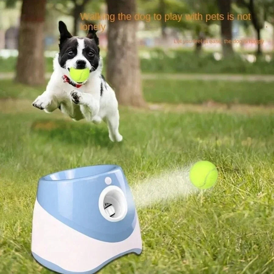 Pet Fun Ball Launcher